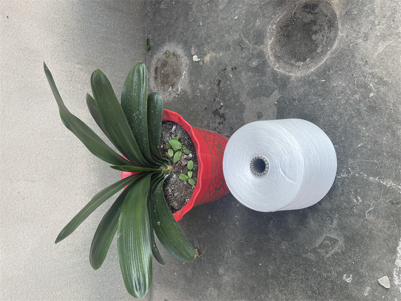纯棉纱